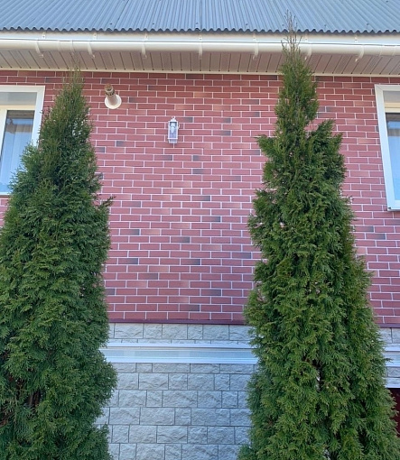 Фасадные панели, Коллекция BERG, Рубиновый - 3