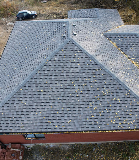 Ламинированная черепица, серия DRAGON PREMIUM, цвет Халва - 4