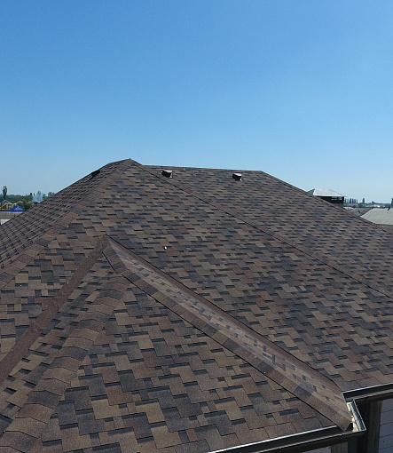 Гибкая черепица, серия PREMIUM, коллекция ГЕНУЯ, цвет Трюфель - 2