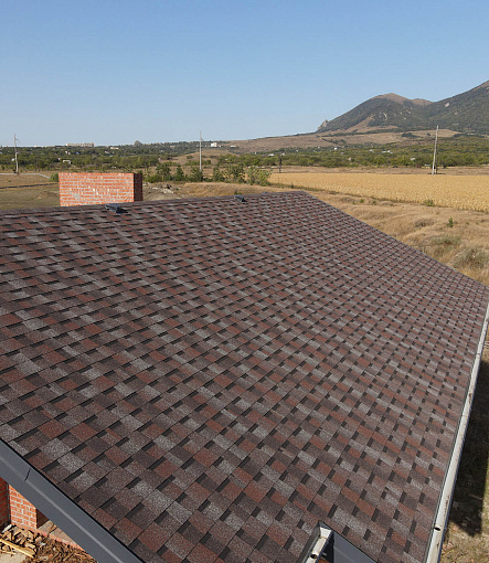 Ламинированная черепица, серия DRAGON PREMIUM, цвет Слива - 2